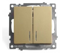 Выключатель двухклавишный с подсветкой без рамки Stekker Катрин 49217 в интернет-магазине "Галерея света"
