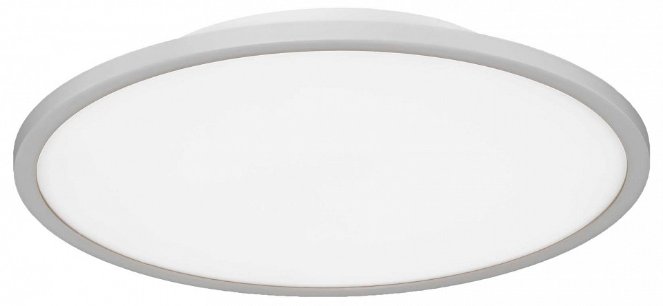 Накладной светильник EVOLUCE TASSEN SLE1811-502-01 в интернет-магазине "Галерея света"