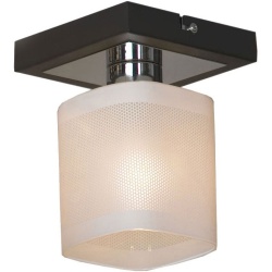 Светильник на штанге Lussole Costanzo LSL-9007-01 в интернет-магазине "Галерея света"