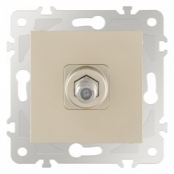 ТВ-розетка без рамки Arte Milano am-203 203.42-1.shampan в интернет-магазине "Галерея света"