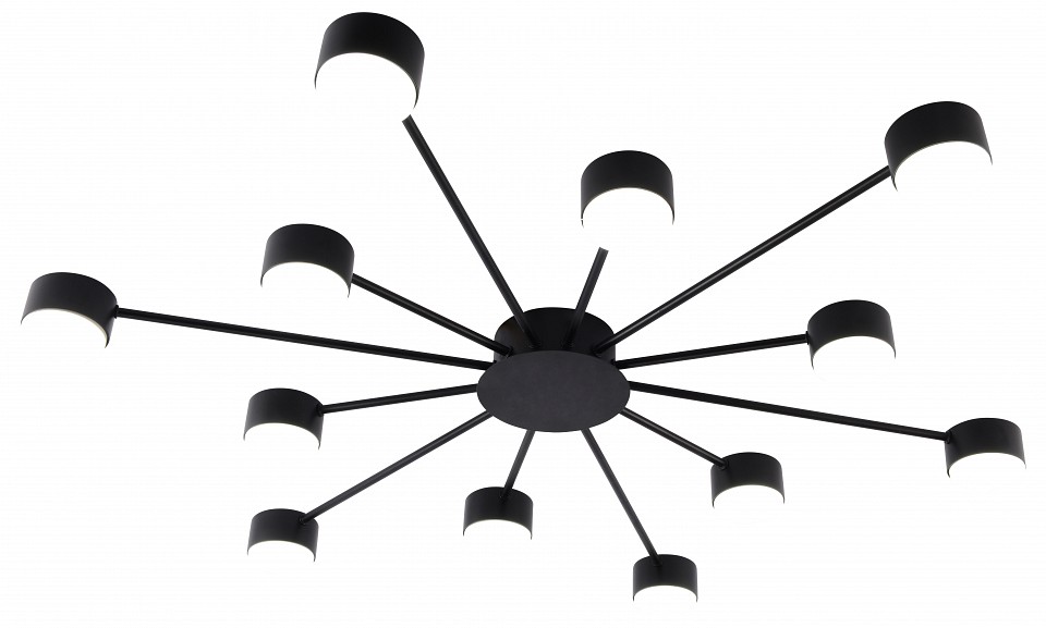 Потолочная люстра Rivoli Leona 3184-312 в интернет-магазине "Галерея света"