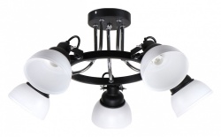 Потолочная люстра Imex 51575 MD.51575-5-S BK в интернет-магазине "Галерея света"