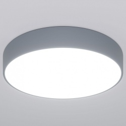 Накладной светильник Eurosvet Entire 90319/1 серый в интернет-магазине "Галерея света"