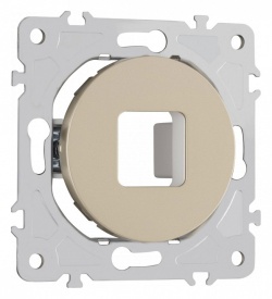 Розетка для вывод кабеля без рамки Arte Milano am-202 202.49-1.shampan в интернет-магазине "Галерея света"