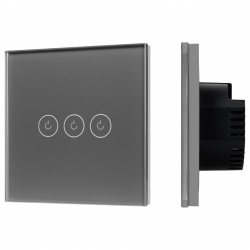 Выключатель сенсорный Arlight OMALI 050047 в интернет-магазине "Галерея света"