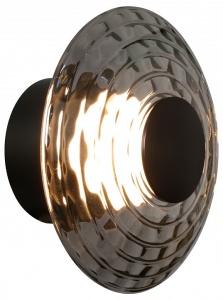 Накладной светильник Favourite Claros 4642-1W в интернет-магазине "Галерея света"