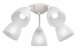 Потолочная люстра Vitaluce V3737 V3737-0/5PL в интернет-магазине "Галерея света"