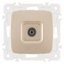 ТВ-розетка без рамки Arte Milano am-205 205.43-1.shampan в интернет-магазине "Галерея света"