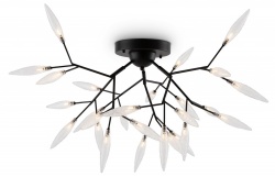 Потолочная люстра Freya Iris FR5067CL-27B в интернет-магазине "Галерея света"