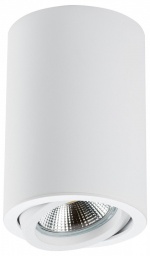 Накладной светильник Lightstar Rullo 214406 в интернет-магазине "Галерея света"