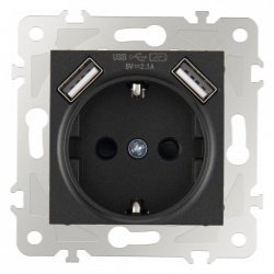 Розетка с заземлением и со шторкой и 2хUSB, без рамки Arte Milano am-203 203.47-1.black в интернет-магазине "Галерея света"