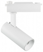 Светильник на штанге Lightstar Fuoco 218216 в интернет-магазине "Галерея света"