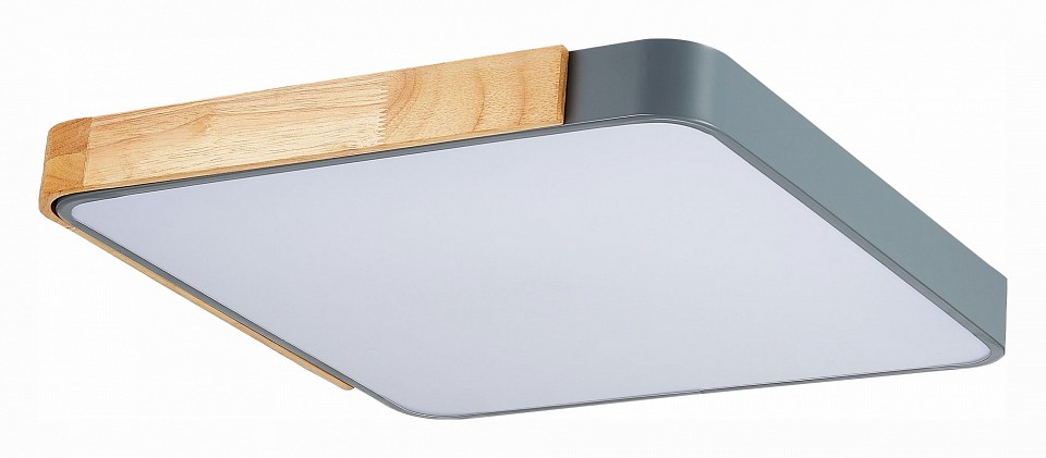 Накладной светильник EVOLUCE Festa SLE201272-01 в интернет-магазине "Галерея света"