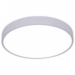 Накладной светильник Arte Lamp Arena A2661PL-1WH в интернет-магазине "Галерея света"