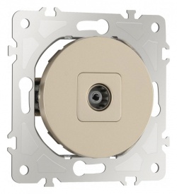 ТВ-розетка без рамки Arte Milano am-202 202.43-1.shampan в интернет-магазине "Галерея света"