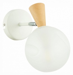 Бра EVOLUCE Catania SLE220701-01 в интернет-магазине "Галерея света"