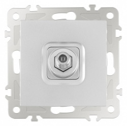 ТВ-розетка без рамки Arte Milano am-206 206.42-1.silver в интернет-магазине "Галерея света"