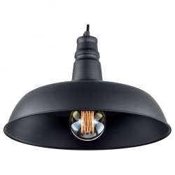 Подвесной светильник Citilux Эдисон CL450204 в интернет-магазине "Галерея света"