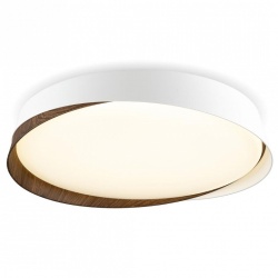 Накладной светильник Citilux BONNY CL754350G в интернет-магазине "Галерея света"