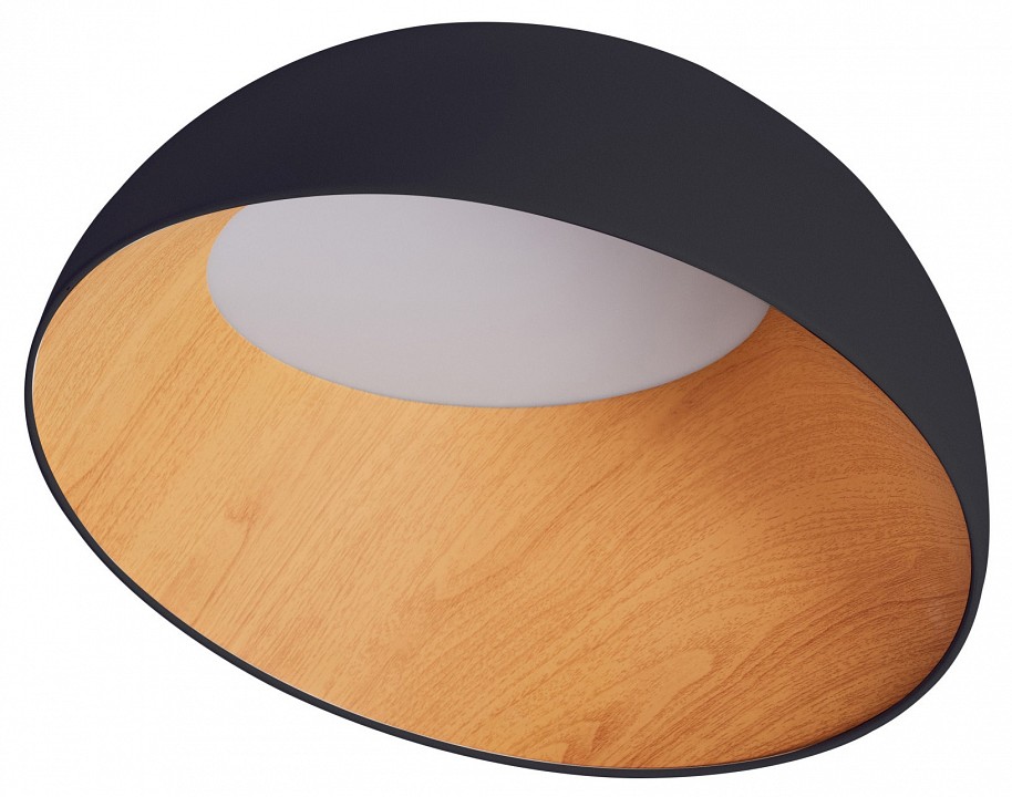 Накладной светильник Zortes Baum ZRS.01243.05 в интернет-магазине "Галерея света"