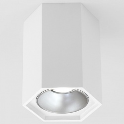 Накладной светильник Elektrostandard 25036/LED a055856 в интернет-магазине "Галерея света"