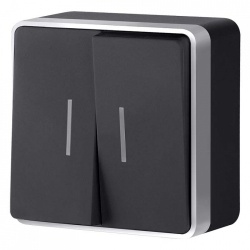 Выключатель двухклавишный с подсветкой Werkel Gallant (черный с серебром) W5020134 в интернет-магазине "Галерея света"