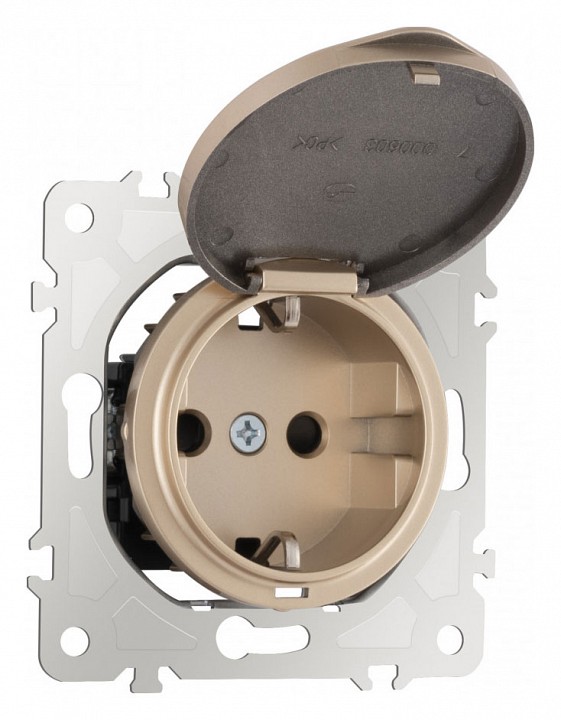 Розетка влагозащищенная с заземлением и со шторкой с крышкой Arte Milano am-202 202.41-1.shampan в интернет-магазине "Галерея света"