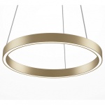 Подвесной светильник Maytoni Rim MOD058PL-L22BSK в интернет-магазине "Галерея света"