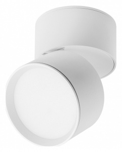 Накладной светильник Lightstar Acuto 215836 в интернет-магазине "Галерея света"