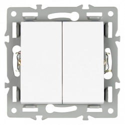 Выключатель двухклавишный без рамки Arlight SWT 043724 в интернет-магазине "Галерея света"