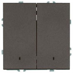 Выключатель двухклавишный с подсветкой без рамки Stekker Эмили 49916 в интернет-магазине "Галерея света"