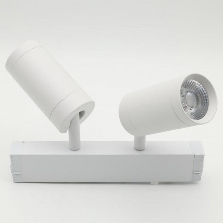 Светильник на штанге Aployt Magnetic track 220 APL.0204.10.18 в интернет-магазине "Галерея света"