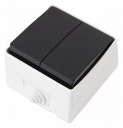 Выключатель двухклавишный Arte Milano 309 309.30-2.grey в интернет-магазине "Галерея света"