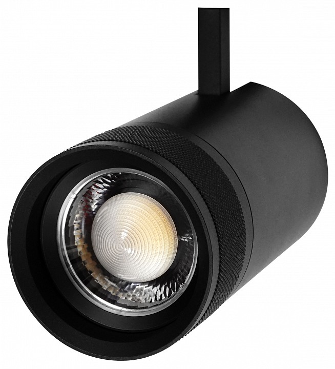 Светильник на штанге Lightstar Canno Pro 304407 в интернет-магазине "Галерея света"