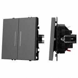 Выключатель проходной двухклавишный без рамки Arlight SWT 054269 в интернет-магазине "Галерея света"