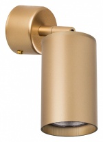 Спот Lightstar Rullo RB4401 в интернет-магазине "Галерея света"