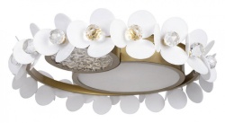 Накладной светильник Loft it Bride 10173 в интернет-магазине "Галерея света"