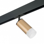 Светильник на штанге Lightstar Rullo PRO44031 в интернет-магазине "Галерея света"