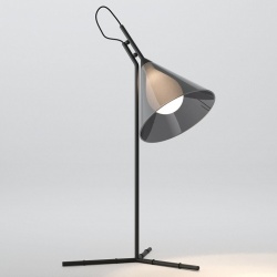 Настольная лампа декоративная Eurosvet Enigma 01186/1 черный в интернет-магазине "Галерея света"