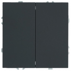 Переключатель двухклавишный без рамки Stekker Эмили 50249 в интернет-магазине "Галерея света"