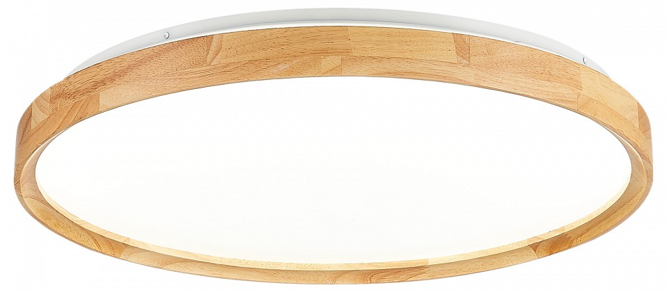 Накладной светильник EVOLUCE DELIA SLE201382-01 в интернет-магазине "Галерея света"