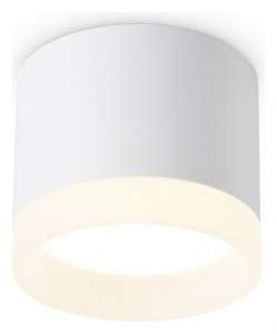 Накладной светильник Ambrella Light TN TN5365 в интернет-магазине "Галерея света"