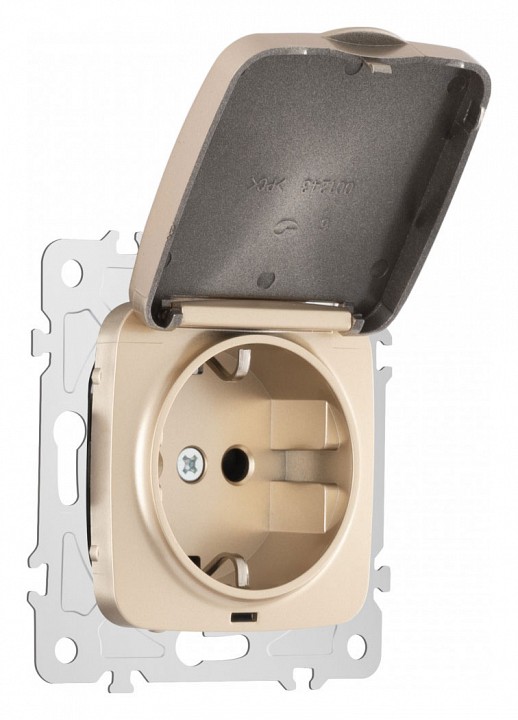 Розетка влагозащищенная с заземлением и со шторкой с крышкой Arte Milano am-205 205.41-1.shampan в интернет-магазине "Галерея света"