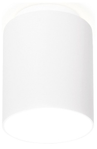 Накладной светильник Ambrella Light TN TN260 в интернет-магазине "Галерея света"