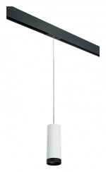 Подвесной светильник Lightstar Rullo PRORP4863437 в интернет-магазине "Галерея света"