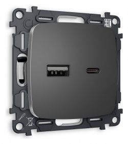 Розетка 2хUSB type A и C без рамки Ambrella Volt OMEGA MO661010 в интернет-магазине "Галерея света"