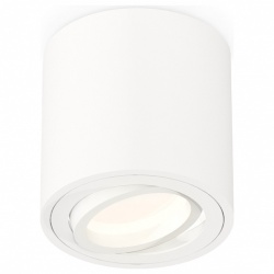 Накладной светильник Ambrella Light XS XS7531001 в интернет-магазине "Галерея света"