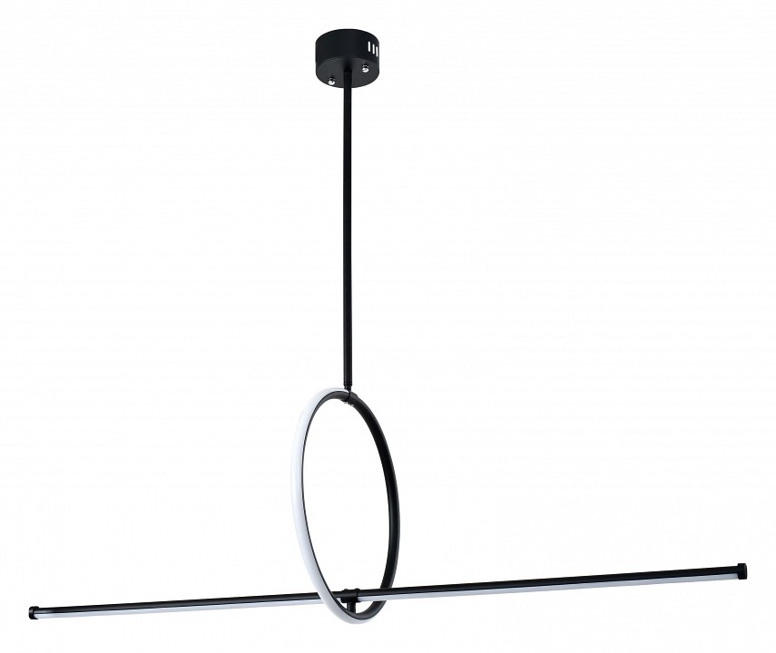 Светильник на штанге Zortes Dasy ZRS.57787.49 в интернет-магазине "Галерея света"