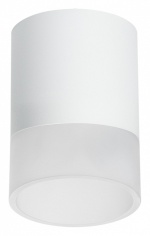 Накладной светильник Lightstar Rullo R348681 в интернет-магазине "Галерея света"