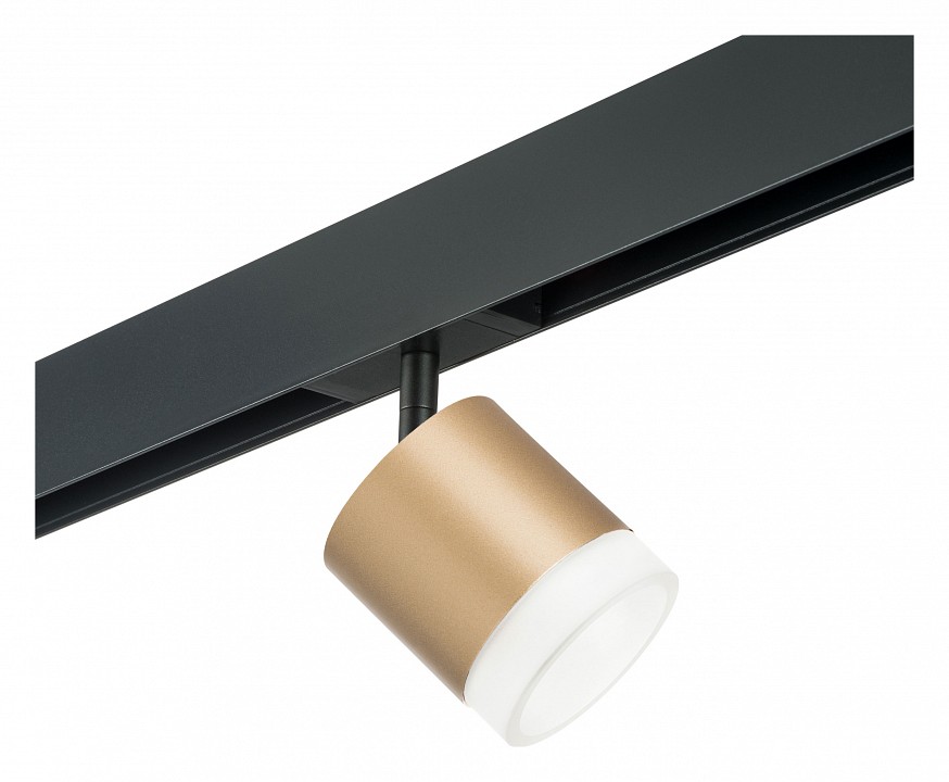 Светильник на штанге Lightstar Rullo PRO349080 в интернет-магазине "Галерея света"